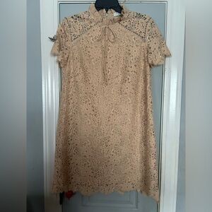 Sandro Paris Nude Blush Lace Dress Size 40 | Ruffle Neck Studded Shoulder